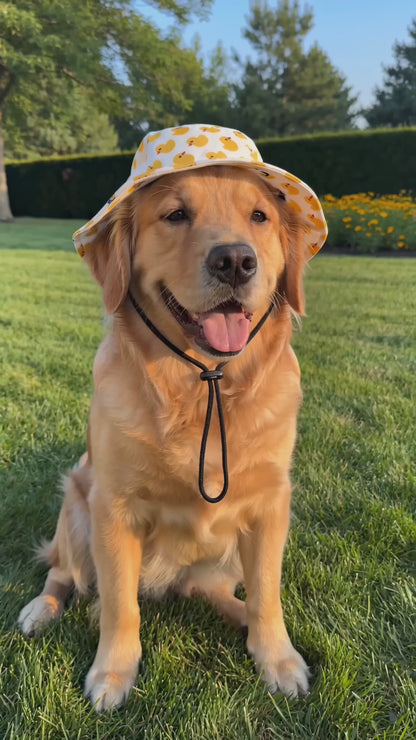 Paw Shade